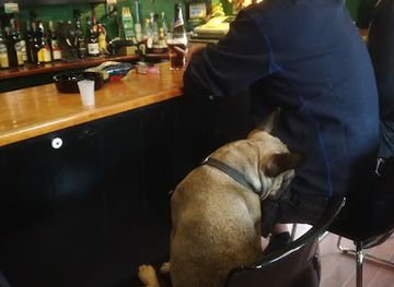 denmark/mariager-fjord/bar/braddehytten-bar-pub