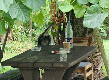 lithuania/dzukija/bar/didysis-krakeno-sliuzas