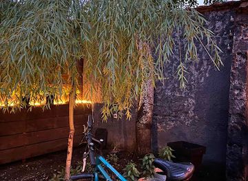 kosovo/mitrovica/bar/nici-since-1986