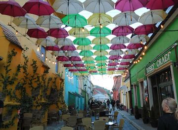 romania/sighisoara/bar/villa-vinea