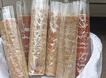 romania/ceahlau-national-park/bar/popas-limita