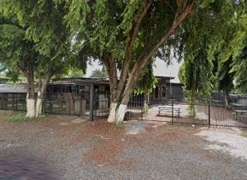 panama/david/bar/selva-bar-lounge