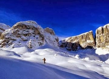 sweden/riksgransen/bar/lion-alpin