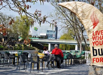 bosnia-and-herzegovina/krajina/bar/club-palazzo