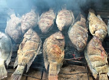 colombia/guaviare-department/bar/villa-leonor-club