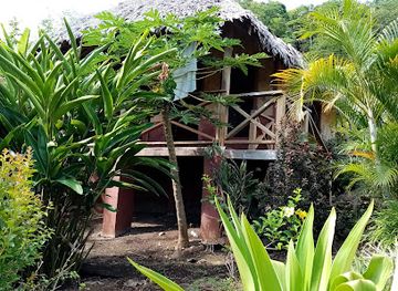 vanuatu/malekula-island/bar/lakatoro-palm-lodge