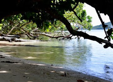 solomon-islands/nggela-islands/bar/nggela-sule-island