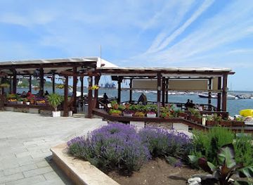 bulgaria/balchik/bar/terrace-hemingway