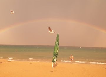 bulgaria/primorsko/bar/beach-bar