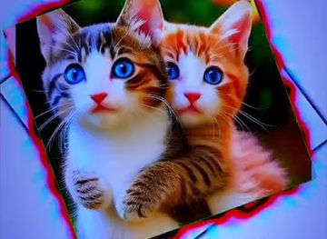 afghanistan/nuristan-province/bar/rokhan-minah