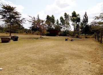 zambia/kafue-national-park/bar/salich-gardens