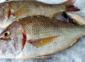 oman/al-batinah-north-governorate/bar/