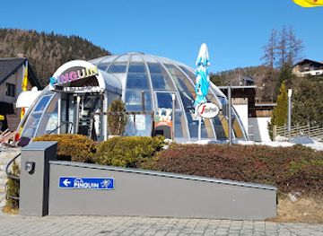 austria/semmering/bar/the-crystal-igloo-igloo-cafe-pub-penguin