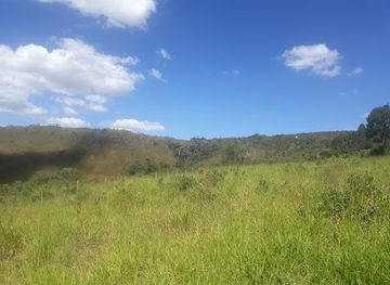 brazil/serra-da-canastra-national-park/bar/bar-do-seu-vicente