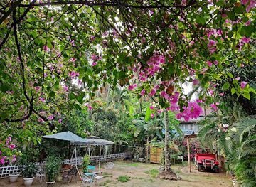 bangladesh/ratargul-swamp-forest/bar/pach-bhai-restaurant