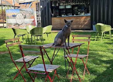 belgium/duchy-of-limburg/bar/zomerbar-maasvalley