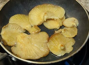 washington/mount-baker-snoqualmie-national-forest/bar/mount-baker-snoqualmie-national-forest