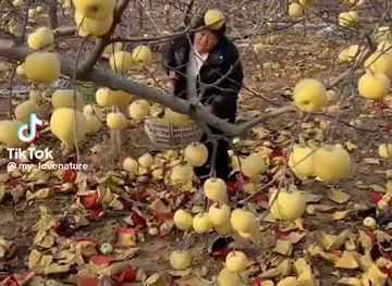 senegal/tambacounda/bar/la-hortencia