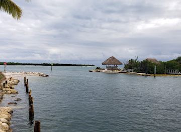 florida/marathon-key/bar/pickled-peligan