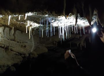 new-zealand/waitomo-caves/bar/footwhistle-glowworm-cave