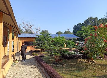 nepal/chitwan-national-park/bar/cozy-restaurant-bar