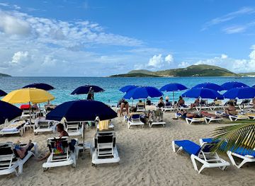 british-virgin-islands/norman-island-caves/bar/moose-on-the-beach