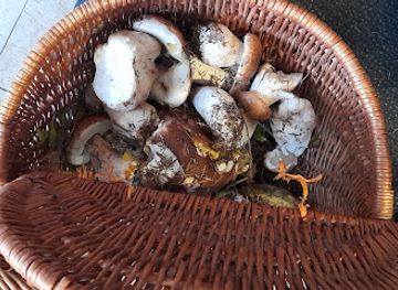 belgium/ardennes/bar/bar-du-rivage