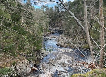 united-kingdom/morayshire/bar/sloe-steady