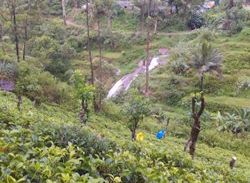 sri-lanka/adam-s-peak/bar/luccumbe-bar