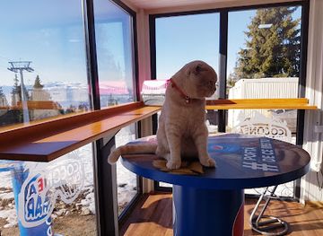 romania/parang-mountains/bar/coconea-snowbar