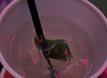 the-bahamas/freeport/bar/double-down-sports-bar-lounge