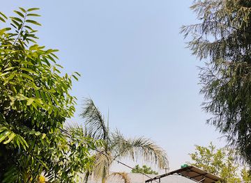 nepal/chitwan-national-park/bar/s-m-cottage