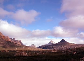 south-africa/cederberg-mountains/bar/nieuw-brew
