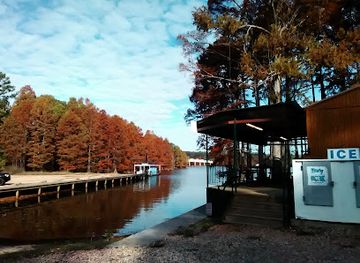 louisiana/caddo-lake-state-park/bar/drift-inn-landing