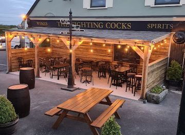 ireland/county-carlow/bar/the-fighting-cocks
