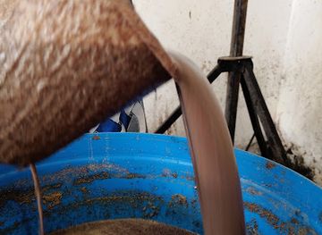 uganda/bukedi/bar/aferi-bar