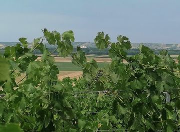 austria/weinviertel/bar/weinbrunnen