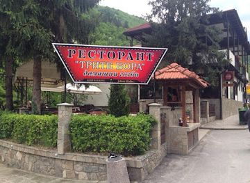 bulgaria/rhodopes/bar/