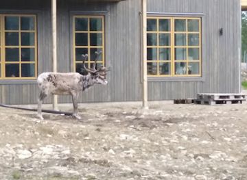 sweden/vemdalen/bar/vemdalsskalet-sorgardarna-l33