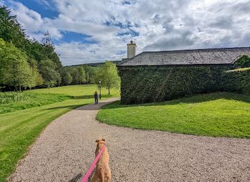 ireland/glendalough/bar/actons-country-pub-and-brewery