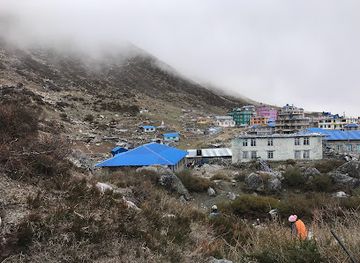 nepal/langtang-valley/bar/thoks-mo-mo-center