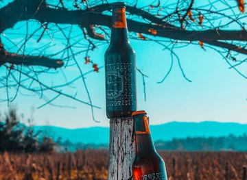 chile/colchagua-valley/bar/cerveceria-awka