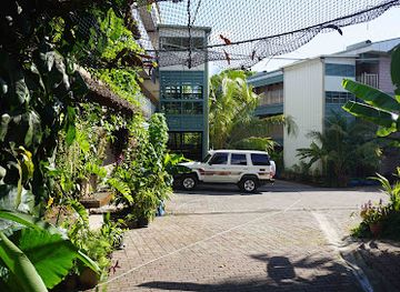 papua-new-guinea/fly-river-basin/bar/wellness-lodge
