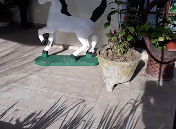 uruguay/florida/bar/coco-bar