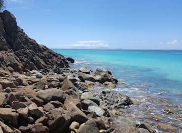 antigua-and-barbuda/hell-s-gate/bar/darkwood-beach-bar-and-restaurant