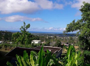 puerto-rico/el-yunque-national-forest/bar/colmado-bar-tres-caminos
