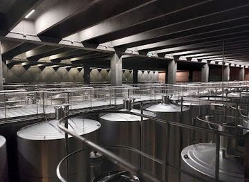 spain/la-rioja/bar/bodegas-campo-viejo