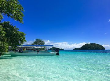 palau/southern-lagoon/bar/sam-s-tours-palau