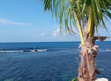 jamaica/runaway-bay-area/bar/coconut-bar