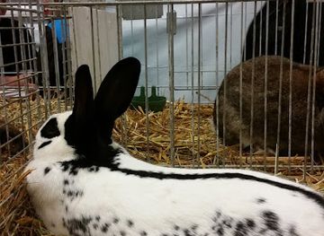 germany/ore-mountains/bar/jugendclub-streckewalde